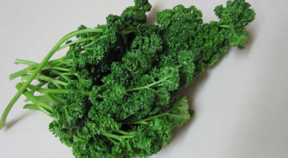 비타민 A 의 종류와 종류별 효능(역할) 그리고 부족시 증상과 과잉시 부작용