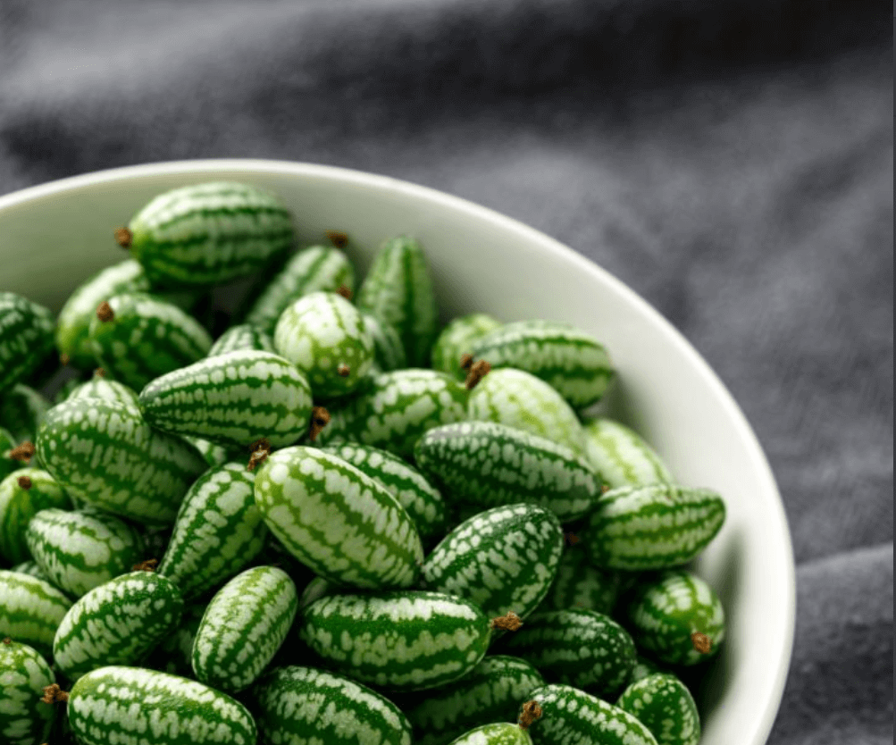 쿠카멜론 영양성분