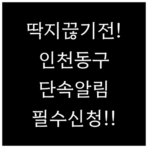 인천 동구 주정차 단속 알림 서비스 ..