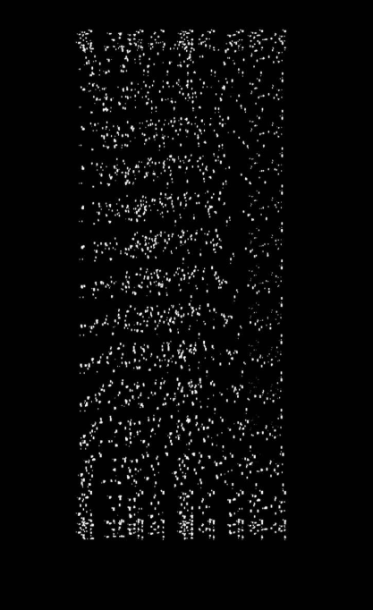 흰 고래의 흼에 대하여