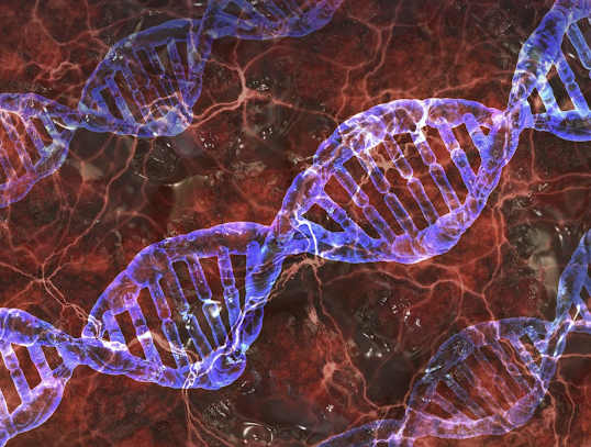 양자생물학과유전자