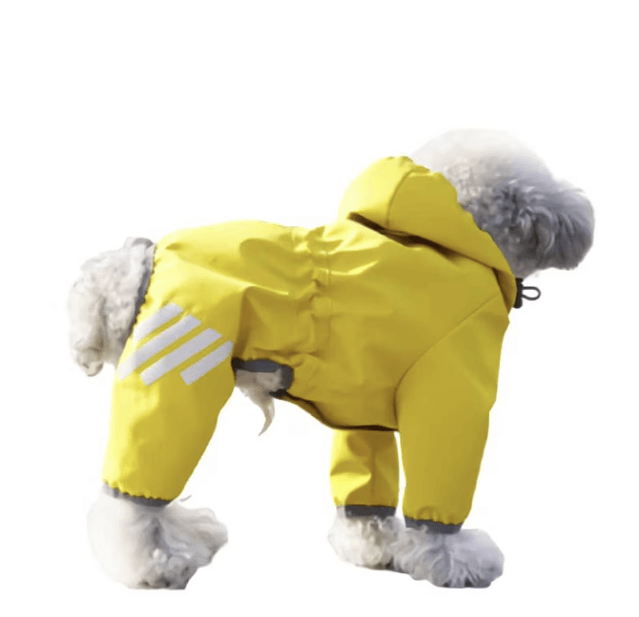 펫세이프티 레인코트