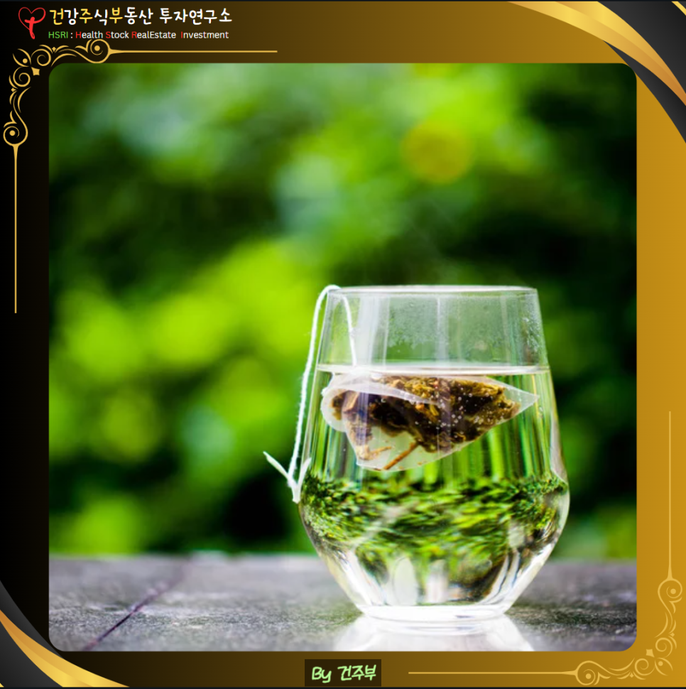 녹차 카테킨 효능과 부작용 그리고 섭취방법

(글 그림 : 건주부, 그림 출처 : Canva)