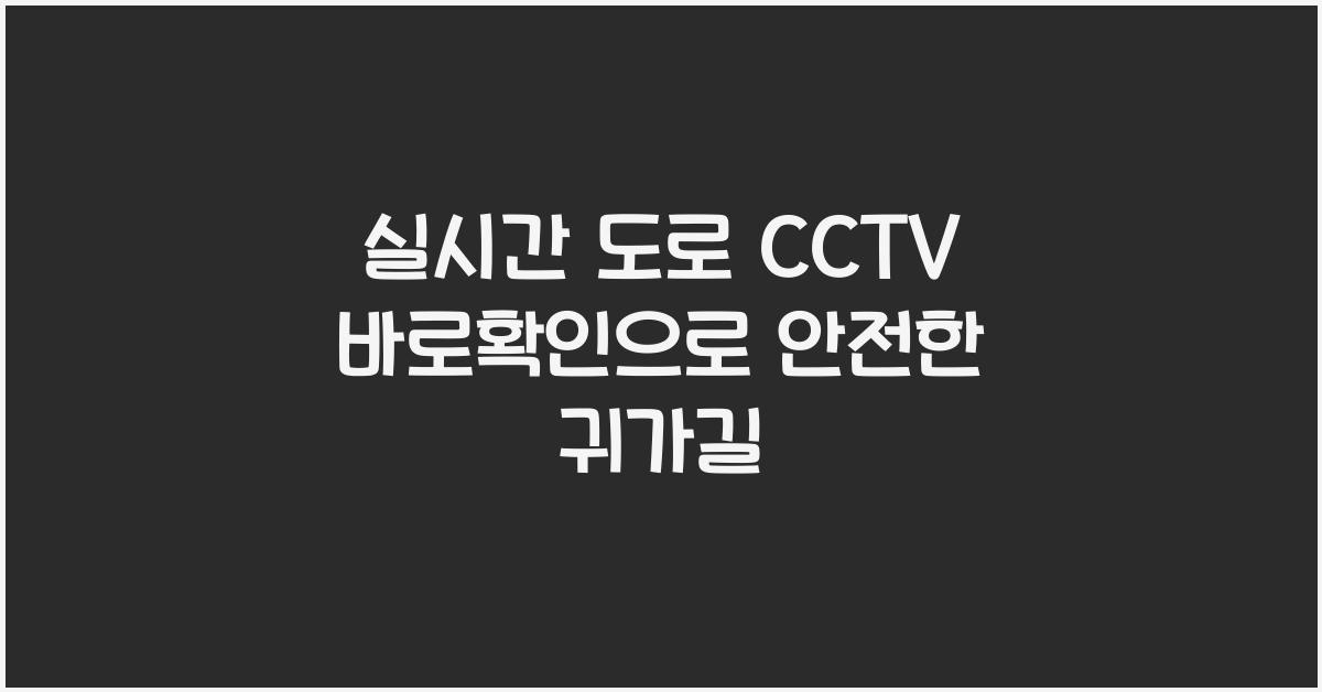 실시간 도로 cctv 바로확인