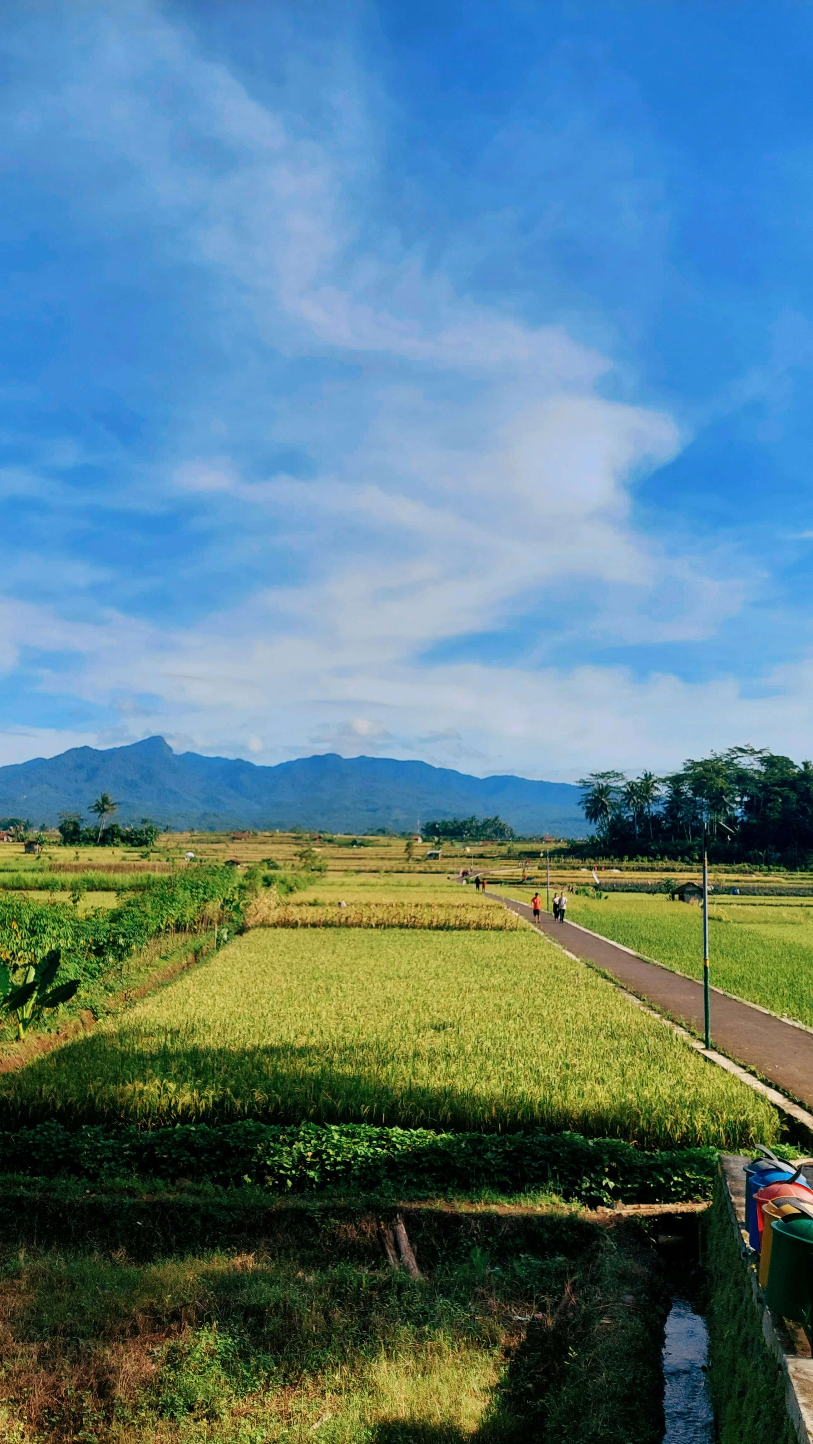 조상 땅 찾기 총정리