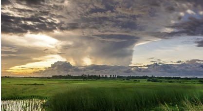 태풍 후 질병 예방하기