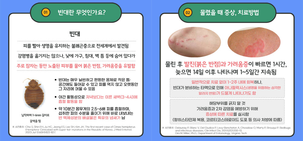 빈대란 무엇인가, 증상 및 치료 방법