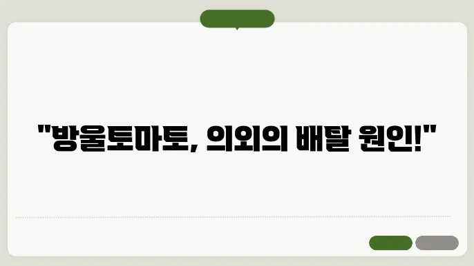 방울토마토 설사