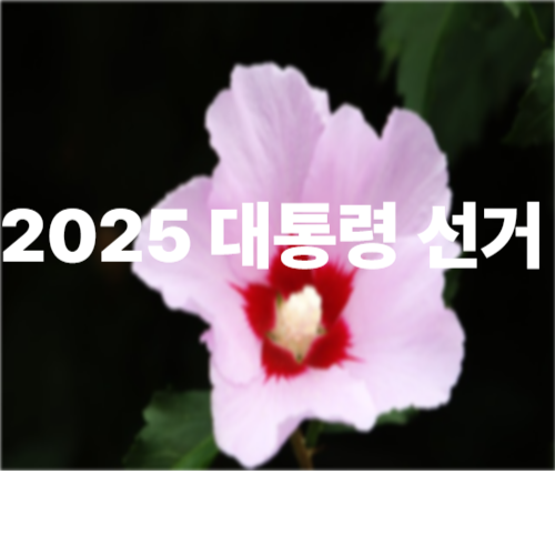 2025 대통령 선거 일정·장소·준비물 총정리