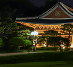밤의산책
