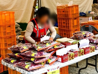 보은 대추축제 일정 및 온라인 장터 소개