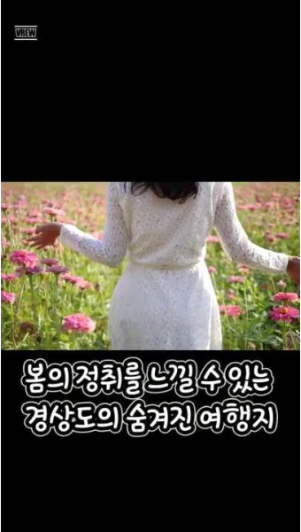 경상도 봄여행 가볼만한곳 베스트 10 완벽 여행 가이드_13