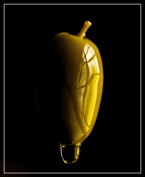 올리브오일 영양 성분