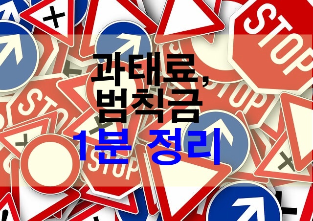 자동차 범칙금, 과태료 차이/ 납부 방법 1분 정리