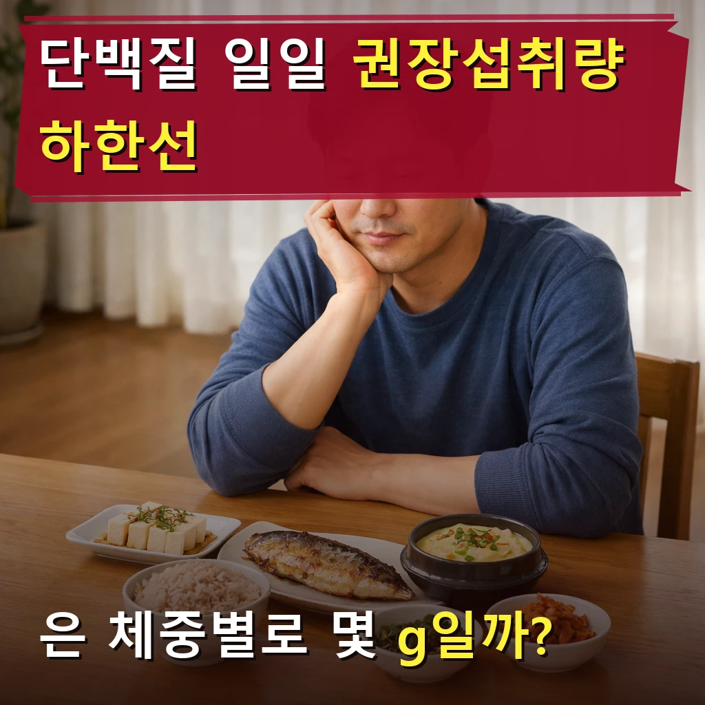단백질 일일 권장섭취량 하한선
