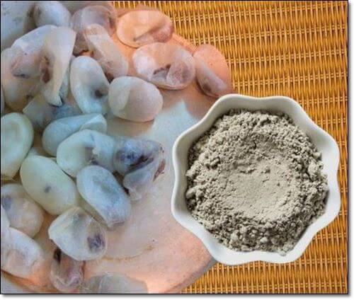 누에고치와 누에가루