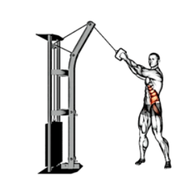 Cable Woodchop low 이완 컨트롤 자세