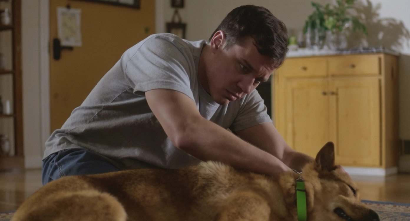 집에서응급처치