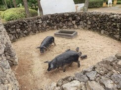 똥밭 꿈 해몽풀이 [무료 꿈해몽]