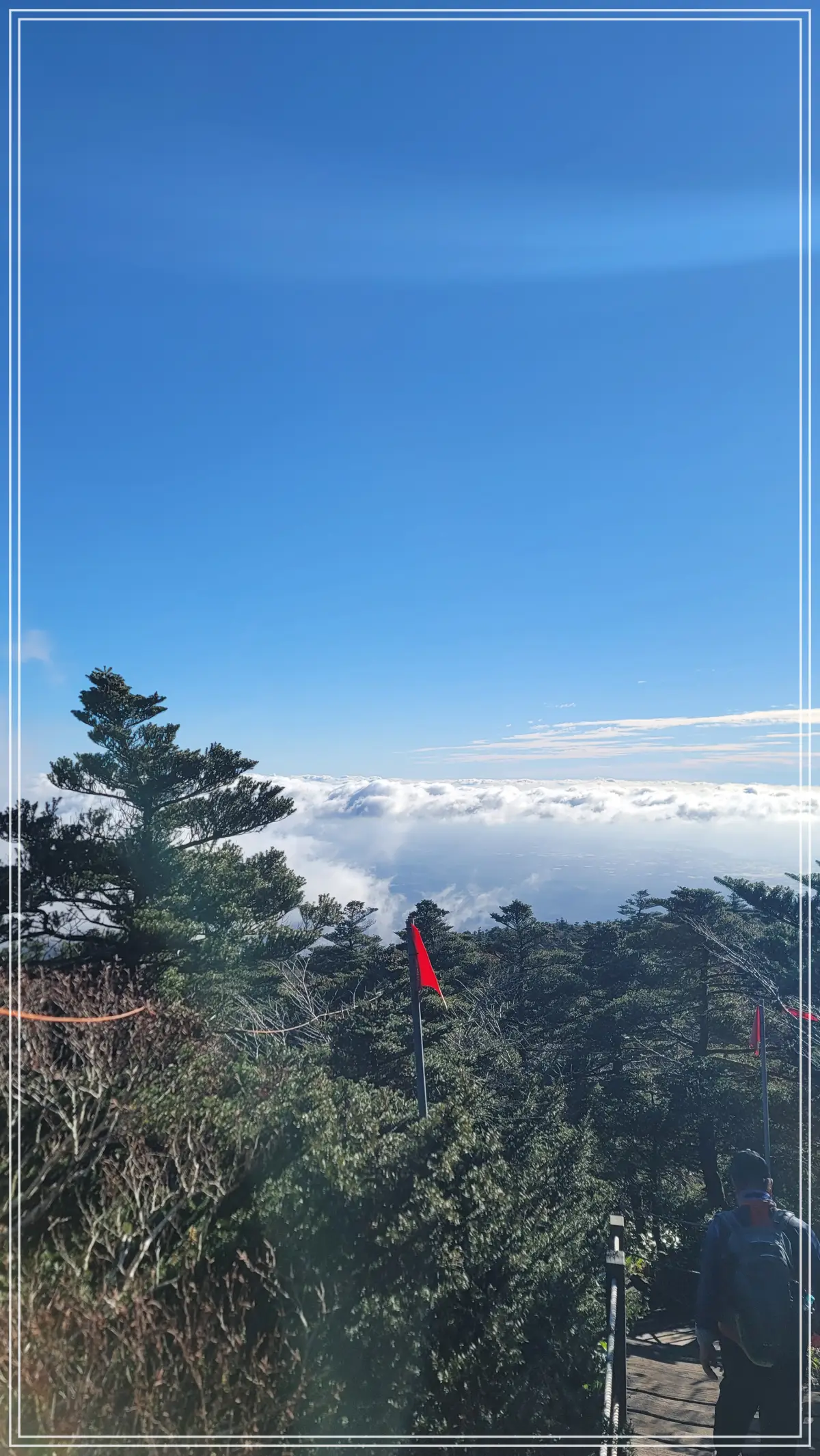 등산로 풍경