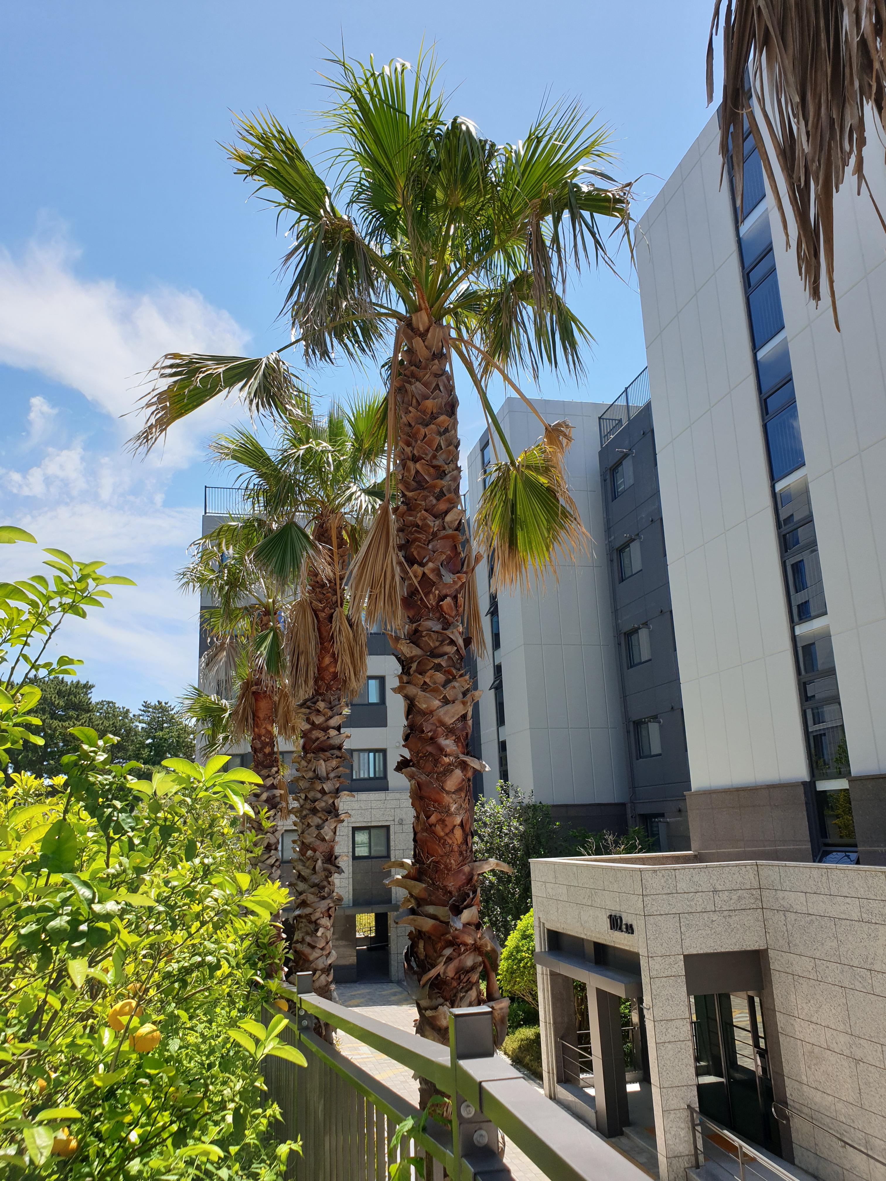 양도세, 양도이익 없어도 신고해야 할까? 신고 기한과 양도일 기준까지 정리