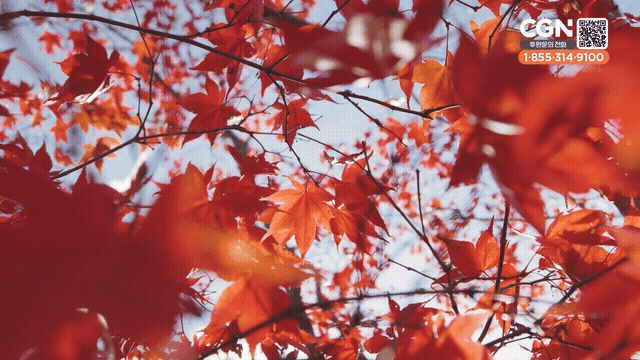 Made to be a Blessing