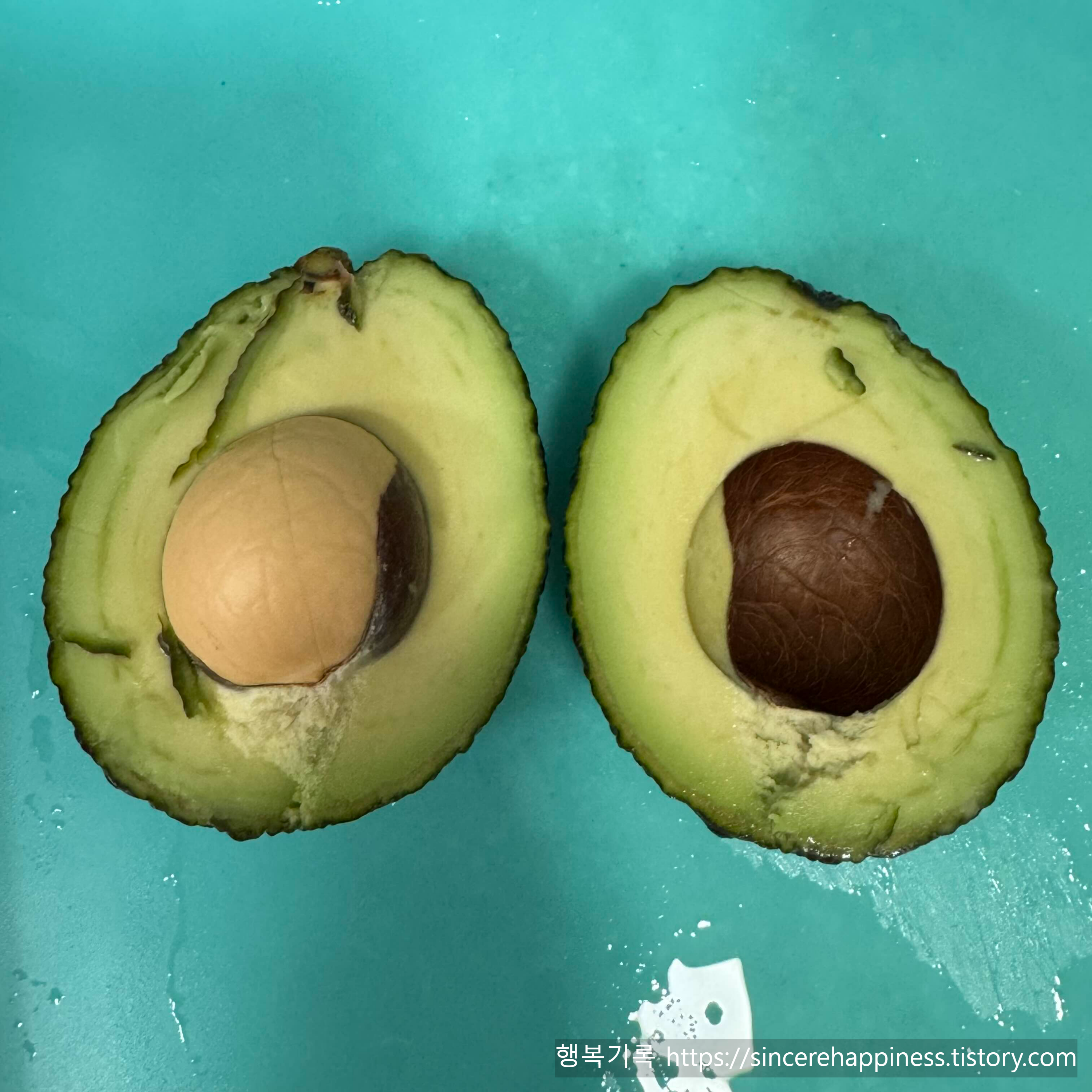 잘 익은 아보카도를 칼로 반으로 갈라 씨앗이 박혀 있는 단면 모습