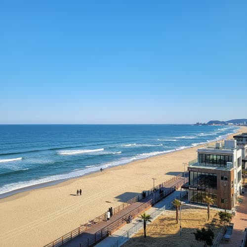 겨울 바다 낭만 강릉! 커피거리 주차 및 실전 여행 정보