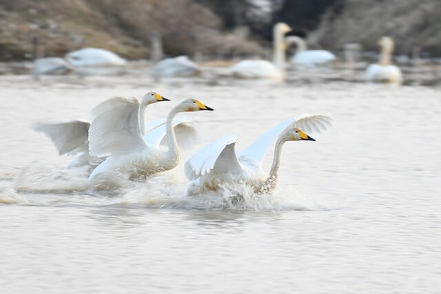 기후동행카드 경기도
