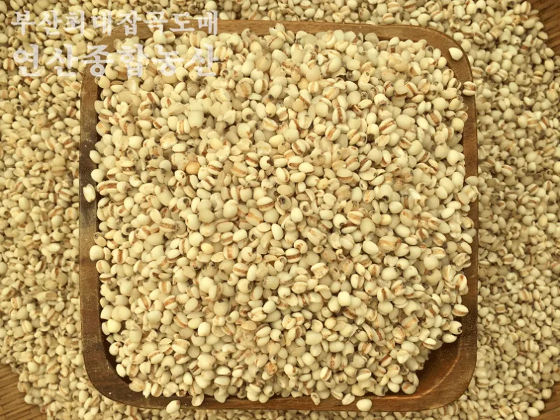 율무 재배 배수로 확보 여름 장마 대비 건조 수확_9