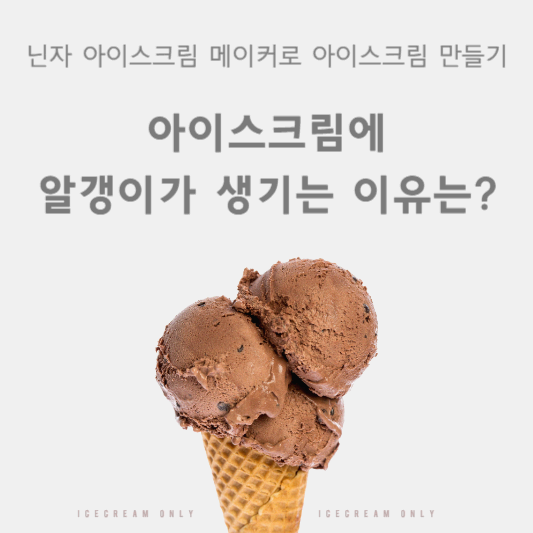 닌자 아이스크림 메이커로 직접 만든 저당 아이스크림! (알갱이 없이 만드는 비법은?)