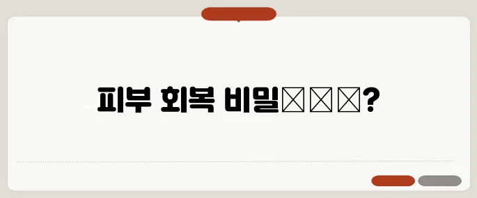 달팽이크림 효능과 피부 재생 효과 분석