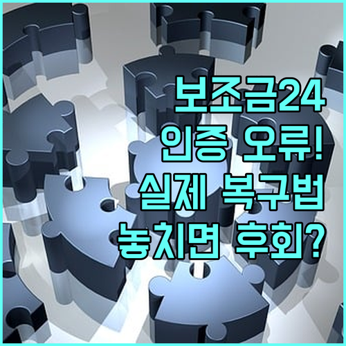 가장 확실한 보조금24 인증 오류 복..