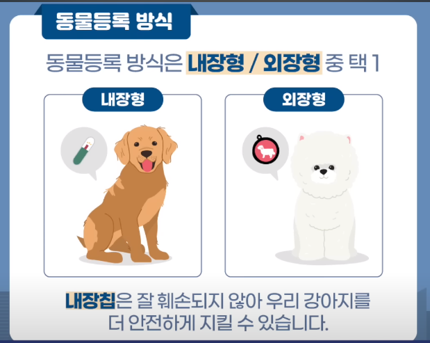 내장형과 외장형