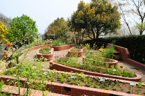 고베 여행 추천 누노비키 허브원