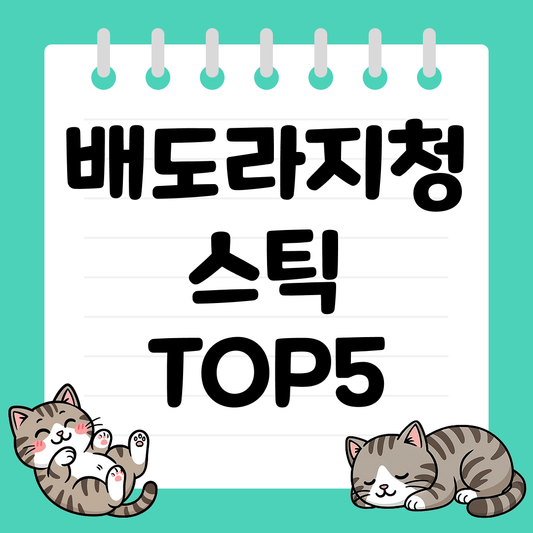 목 건강과 면역력에 도움 되는 배도라지청 스틱 TOP5