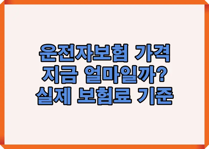 운전자보험 가격이 지금 얼마 수준인지 실제 보험료 기준으로 월 보험료 평균 구조를 한눈에 정리한 이미지