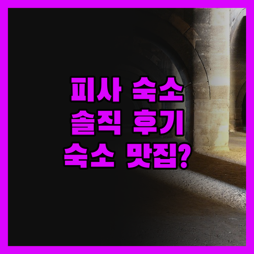 피사 여행객 필독 NH Pisa 솔직
