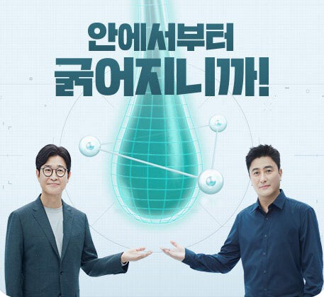 판시딜 효과 가격