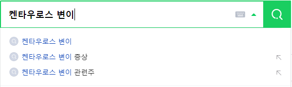 켄타우로스 변이 연관 검색어