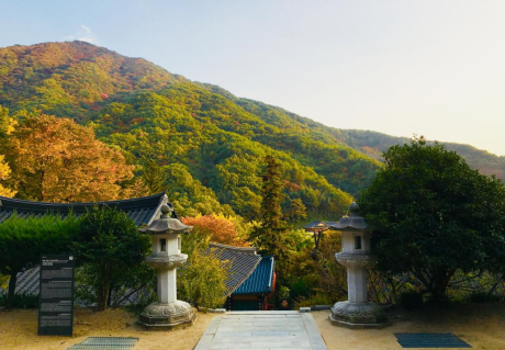 경남 쌍계사 템플스테이 신청 방법