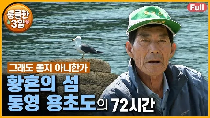 용초도 배시간표 배편 요금 낚시포인트_4