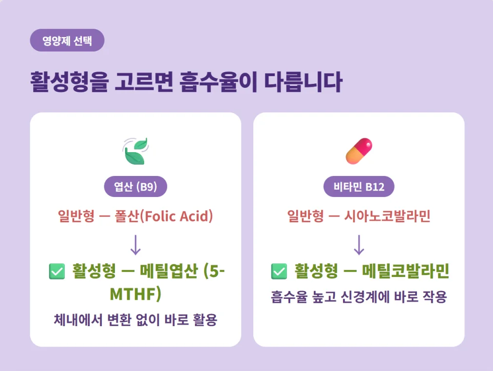 활성형 엽산과 비타민 B12를 선택해야 하는 이유와 흡수율의 차이