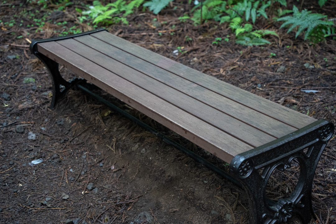 이승악 오름 삼나무