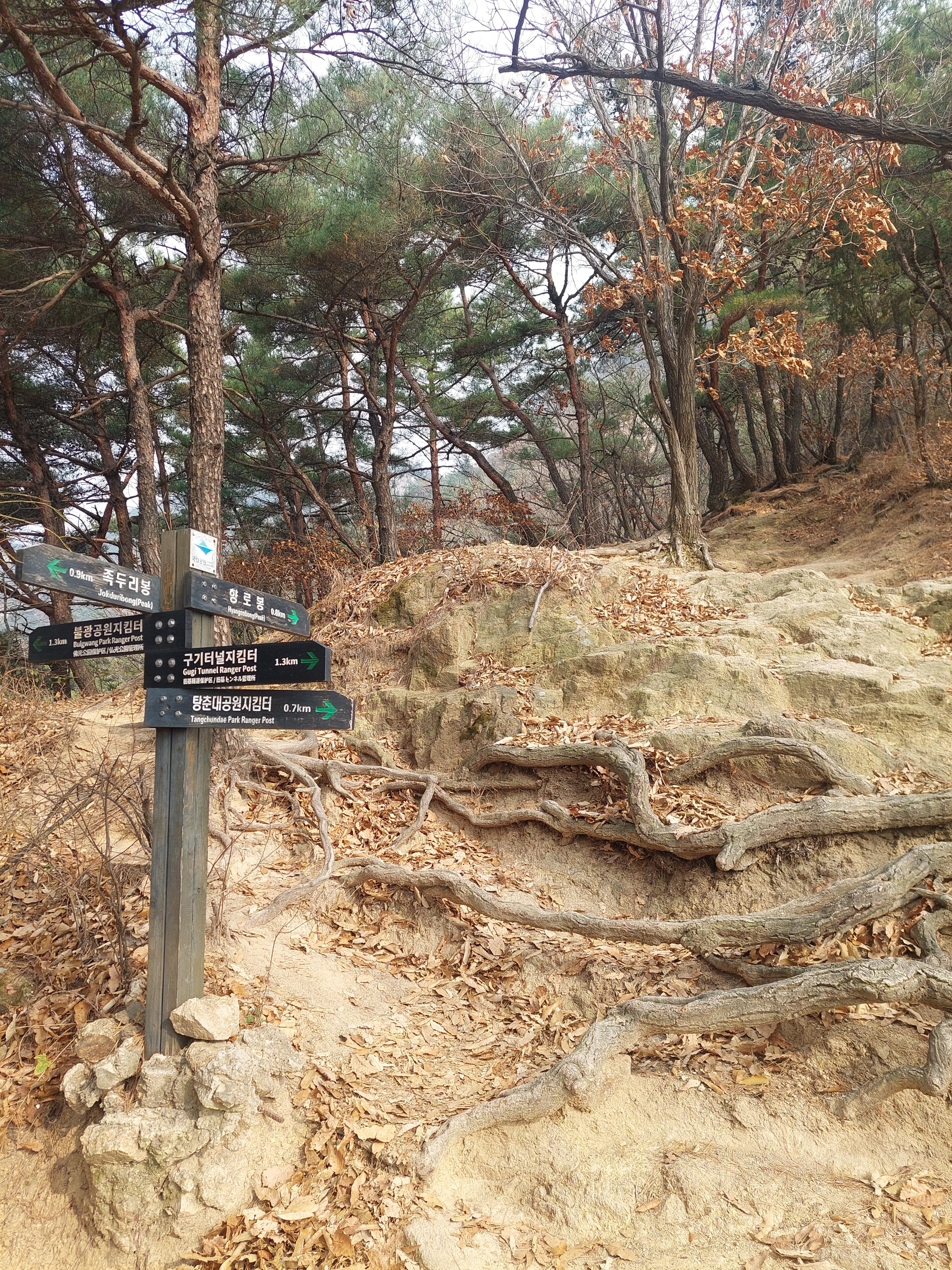 비봉