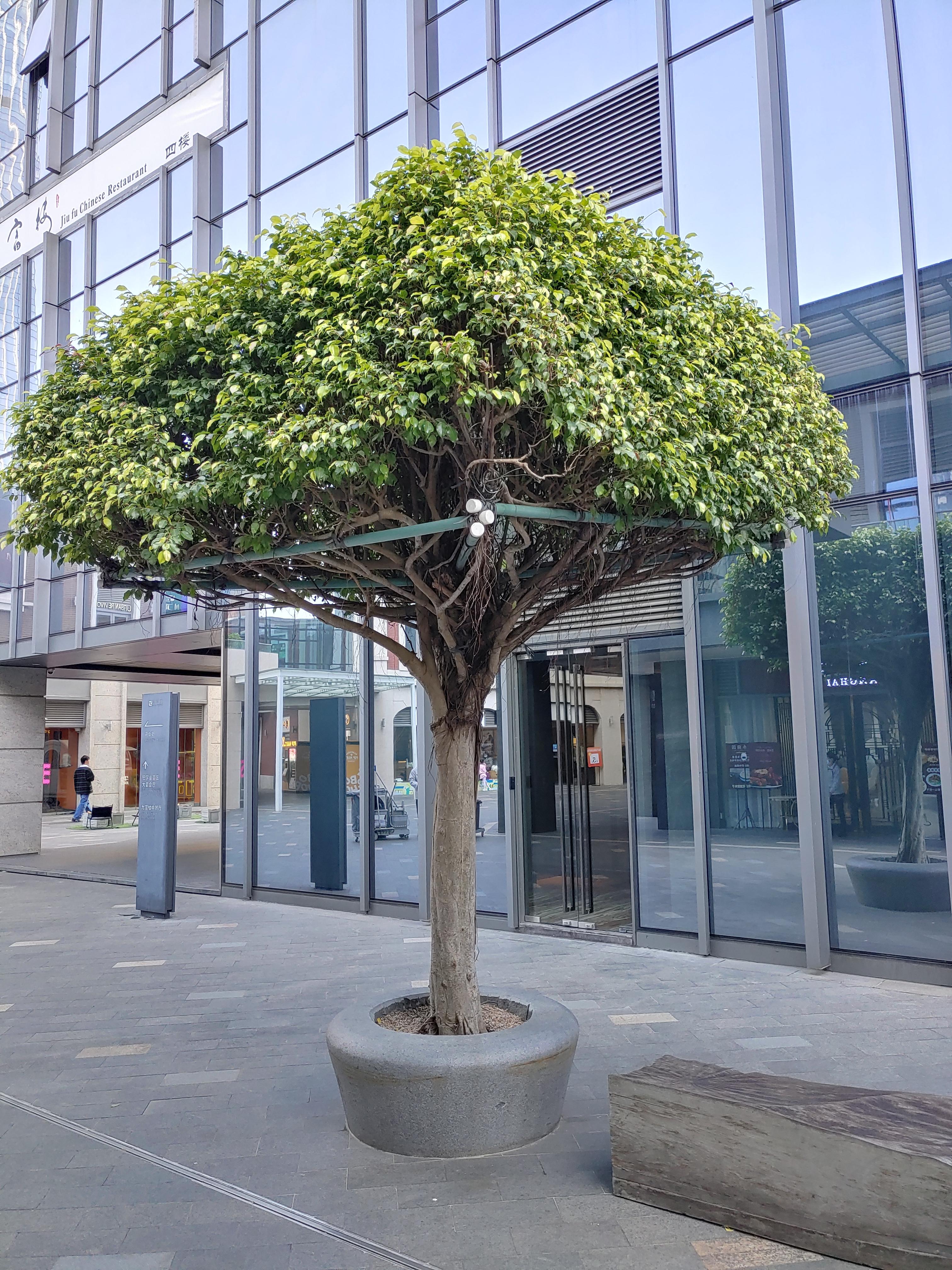 중국 주해 거리 풍경 사진