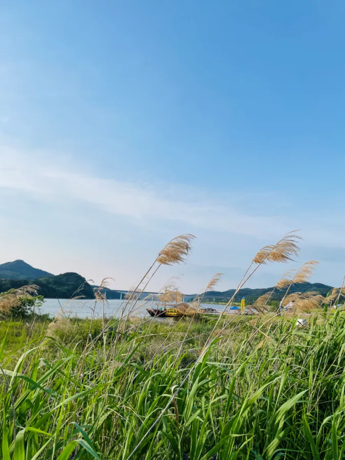 율정호운영센터-다목적광장에서-바라본-들판과-낙동강