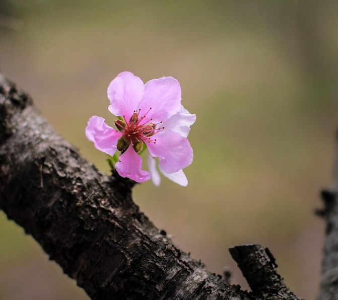 소요산 자연경관 사진