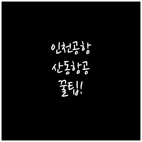 인천공항 산동항공 터미널 위치와 체크..