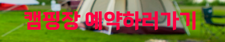 캠핑장 추천